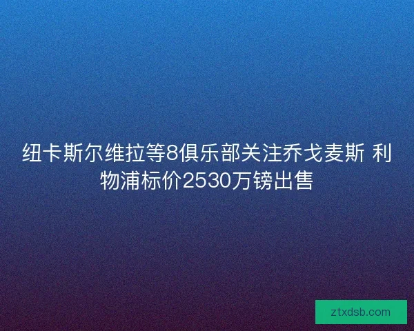纽卡斯尔维拉等8俱乐部关注乔戈麦斯 利物浦标价2530万镑出售