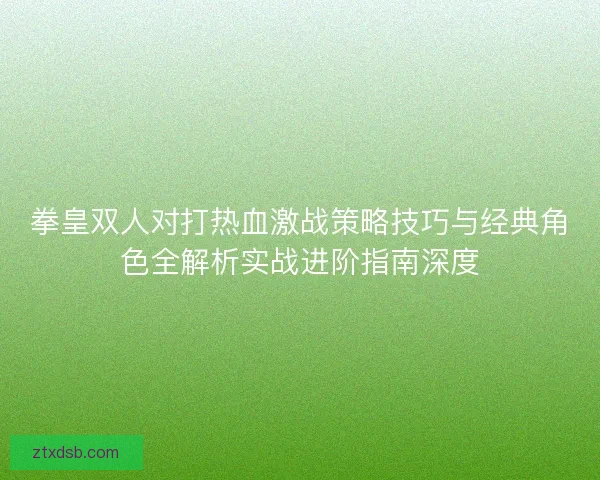 拳皇双人对打热血激战策略技巧与经典角色全解析实战进阶指南深度